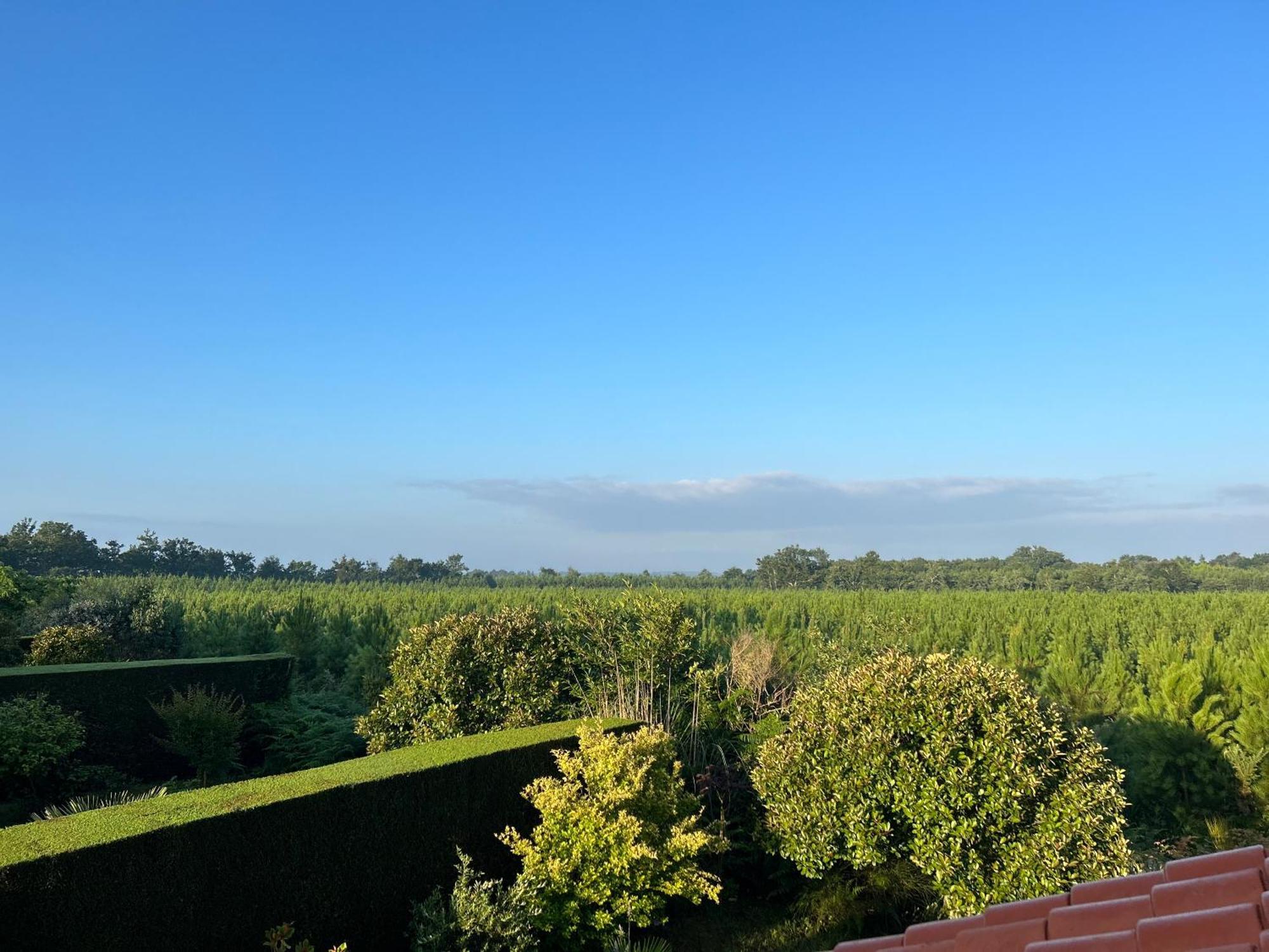 Jolie Maison De Vacances Avec Terrasse Et Jardin 波讷地区圣朱利安 外观 照片