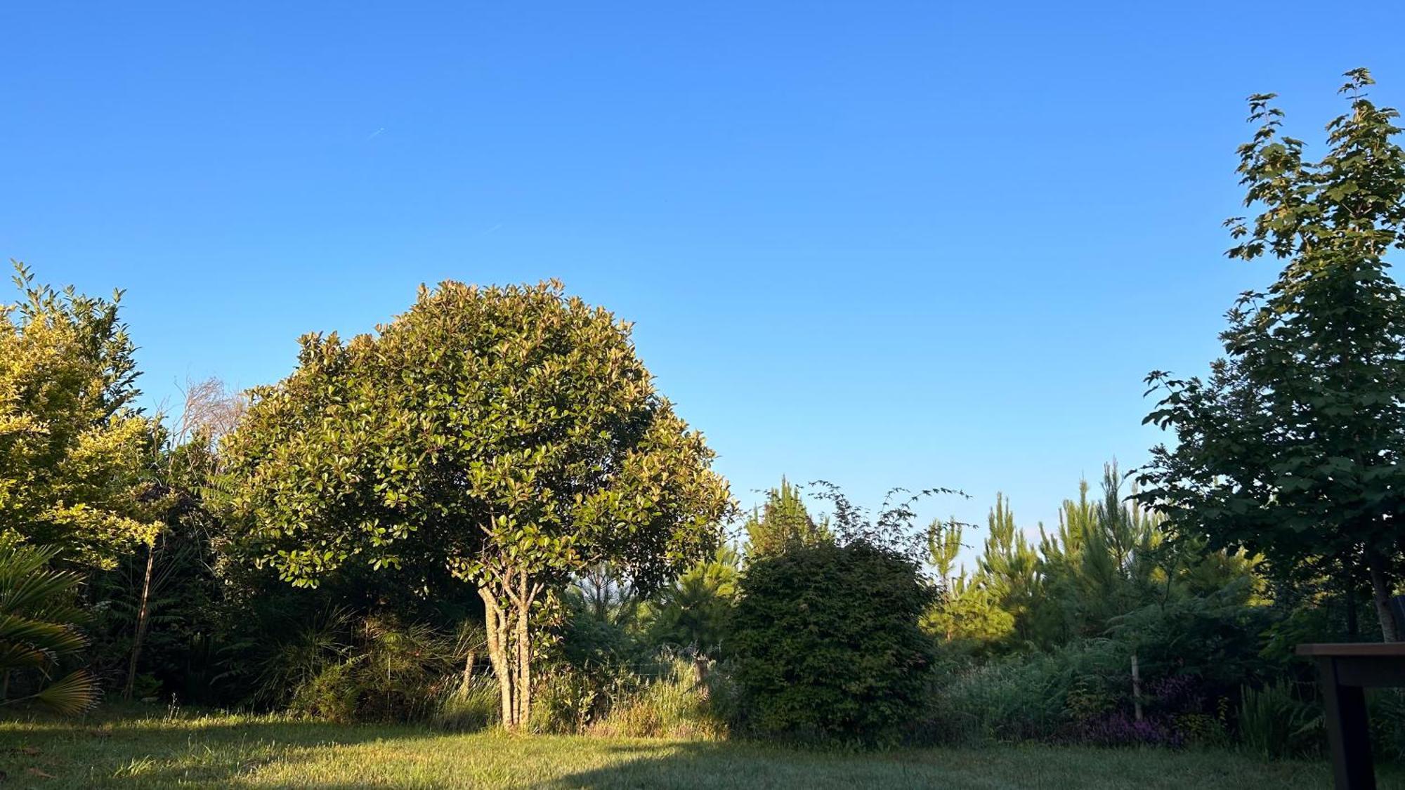 Jolie Maison De Vacances Avec Terrasse Et Jardin 波讷地区圣朱利安 外观 照片